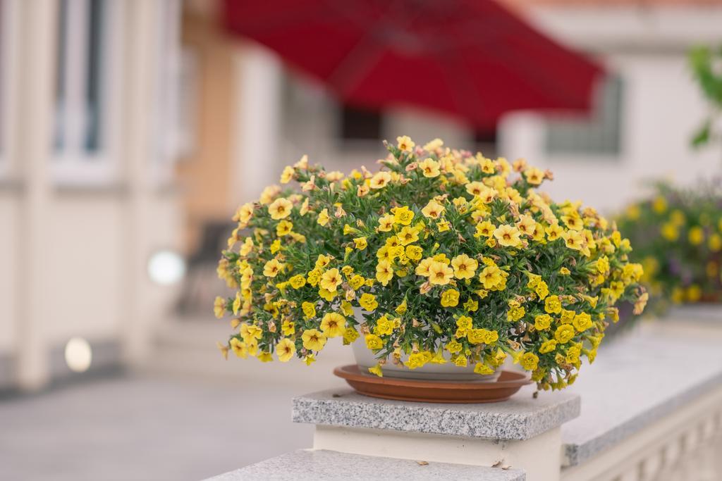 Apartments Vall Krk Town Εξωτερικό φωτογραφία
